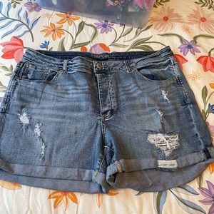 Maurices Jean shorts, size 18